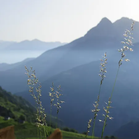 Alpstuga Chalet *